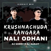 Krushnachuda Rangara (Circuit Mix) Dj Sorry X Dj Ranjit