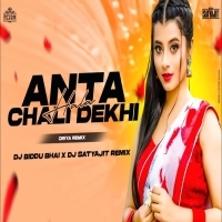 ANTA HALA CHALI (ORIYA RMX) DJ BIDDU BHAI X DJ SATYAJIT